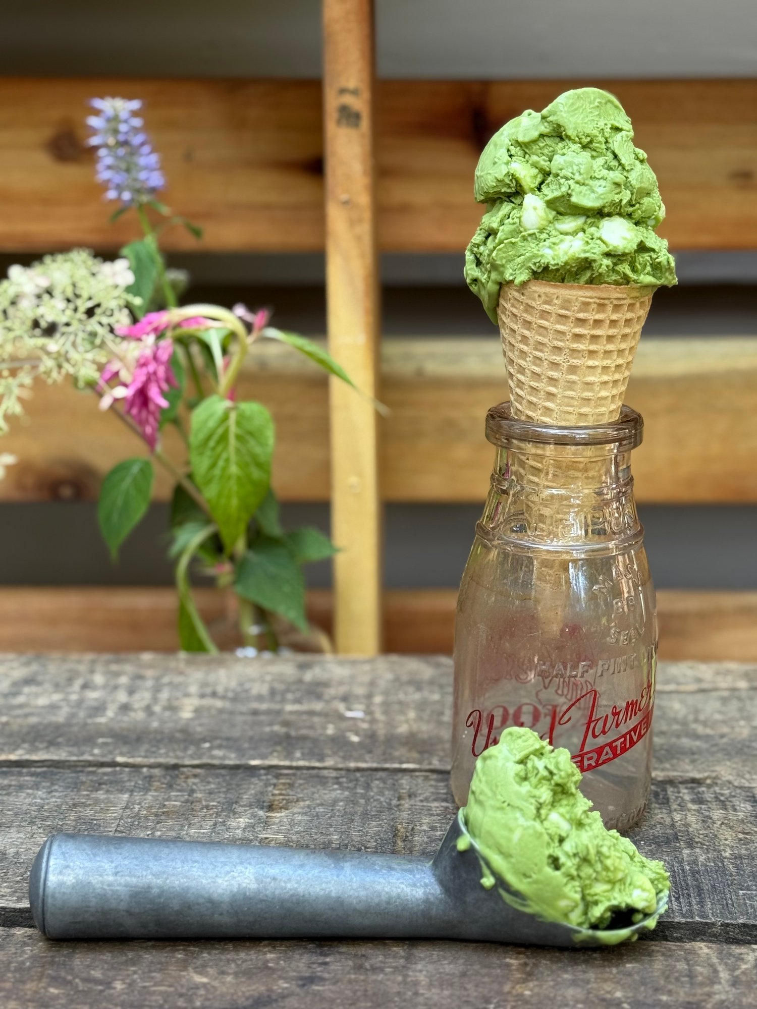 Matcha ice cream
